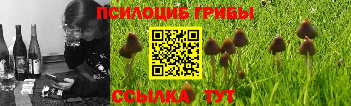 Галлюциногенные грибы Cubensis  Галлюциногенные грибы мухоморы  Вход с VPN  Еманжелинск 
